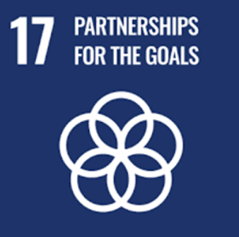 sdg 17